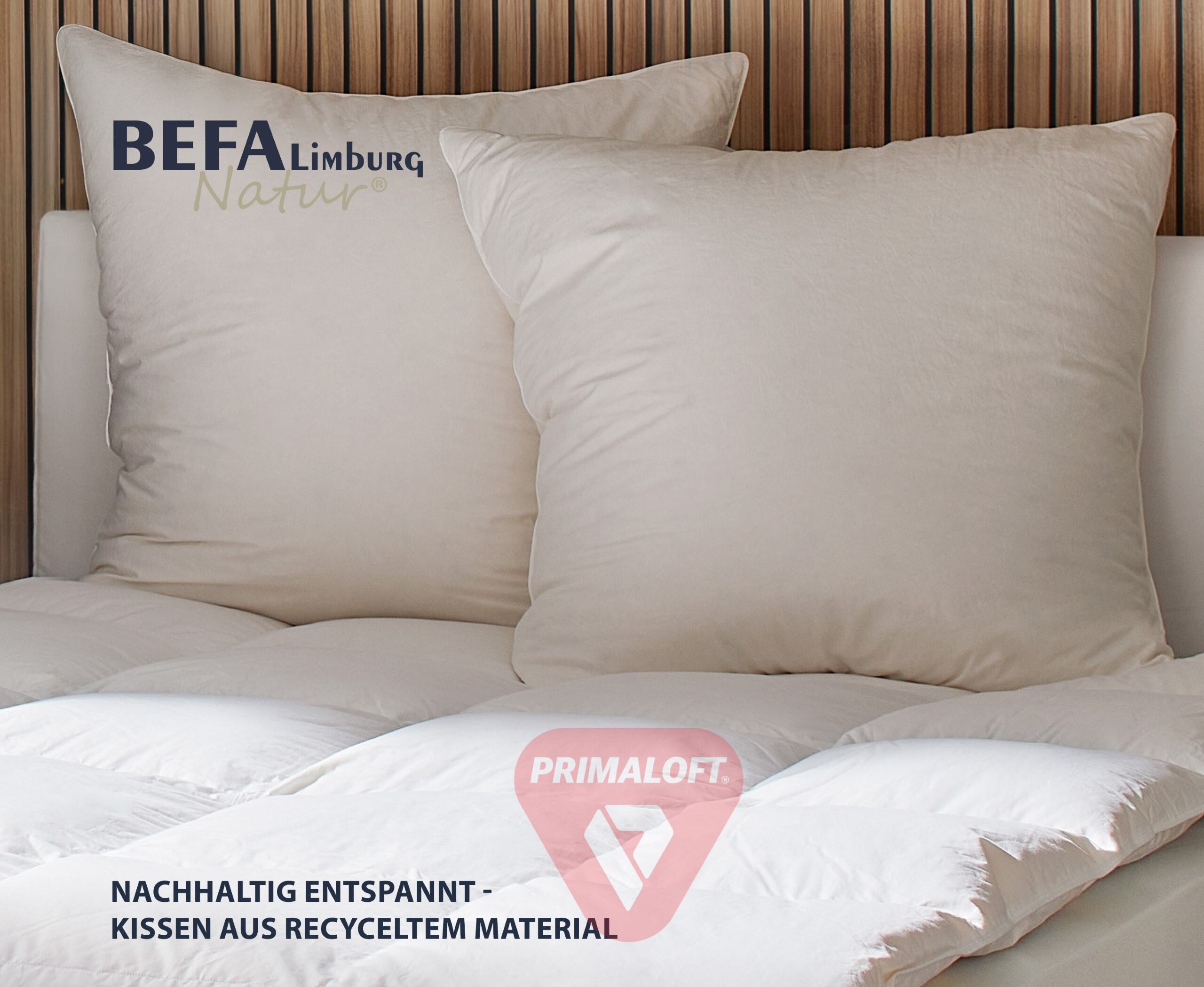 Primaloft Organic Pillow 80x80