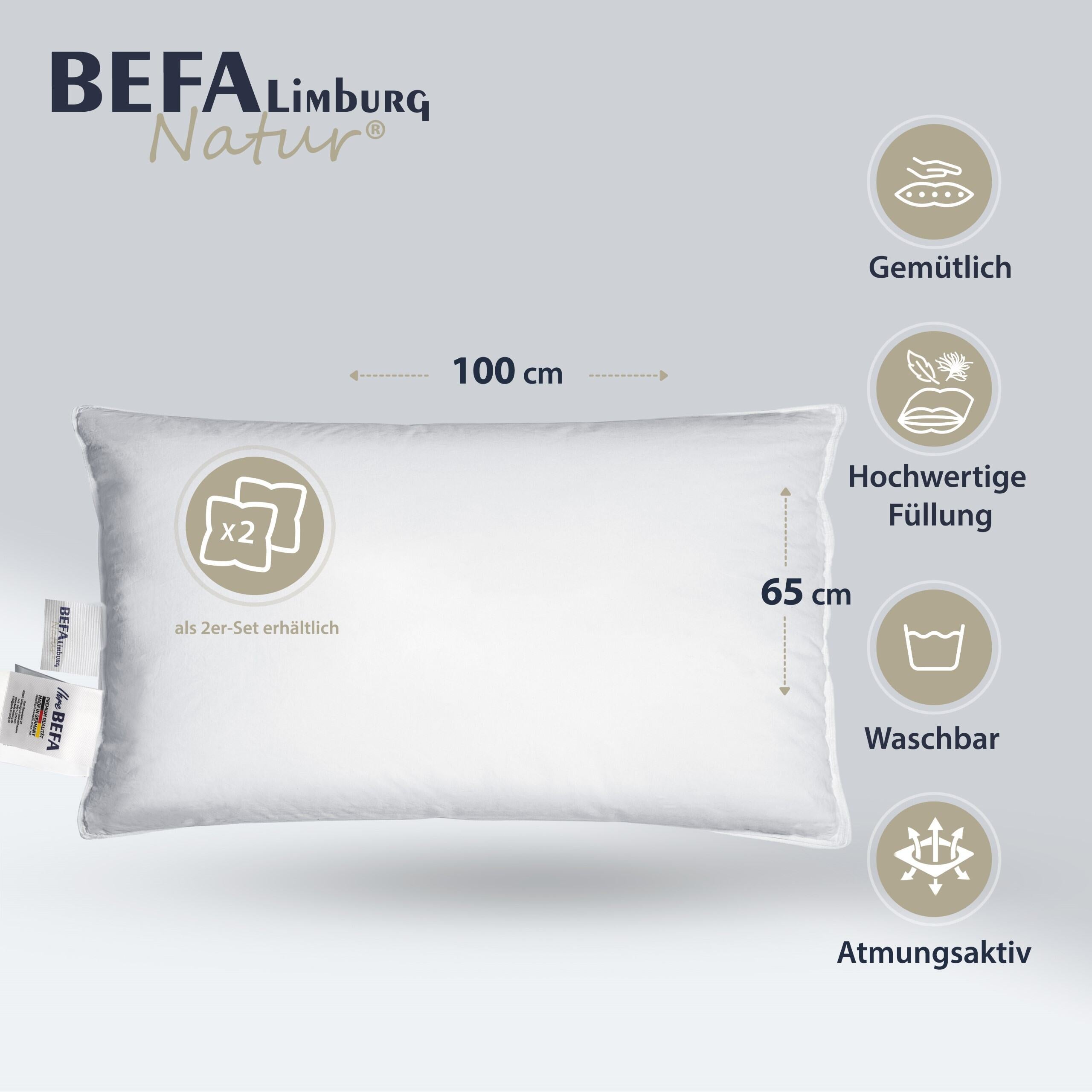 Daunenkissen - 90% Daunen | BEFA Limburg