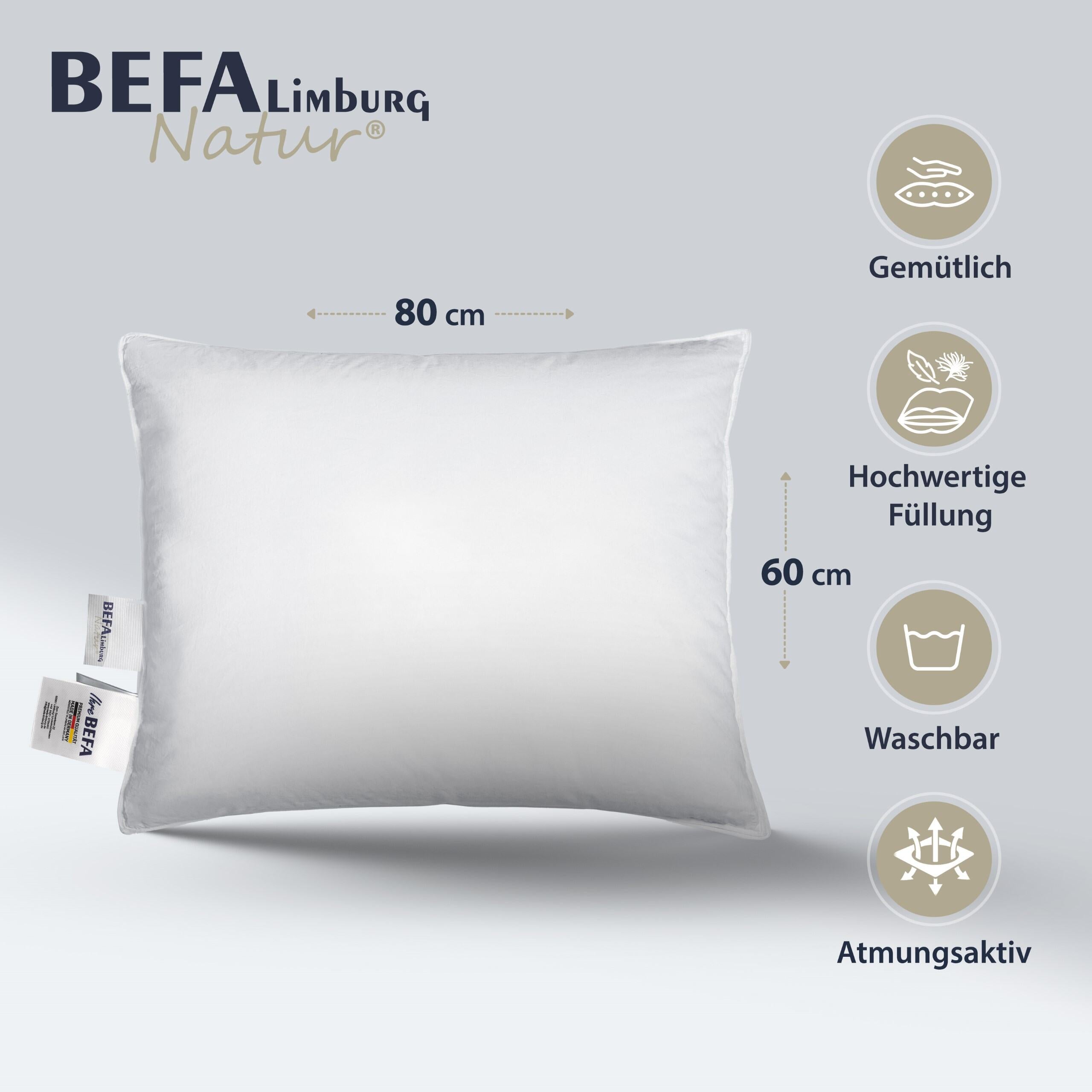 Daunenkissen - 90% Daunen - Detailansicht | BEFA Limburg