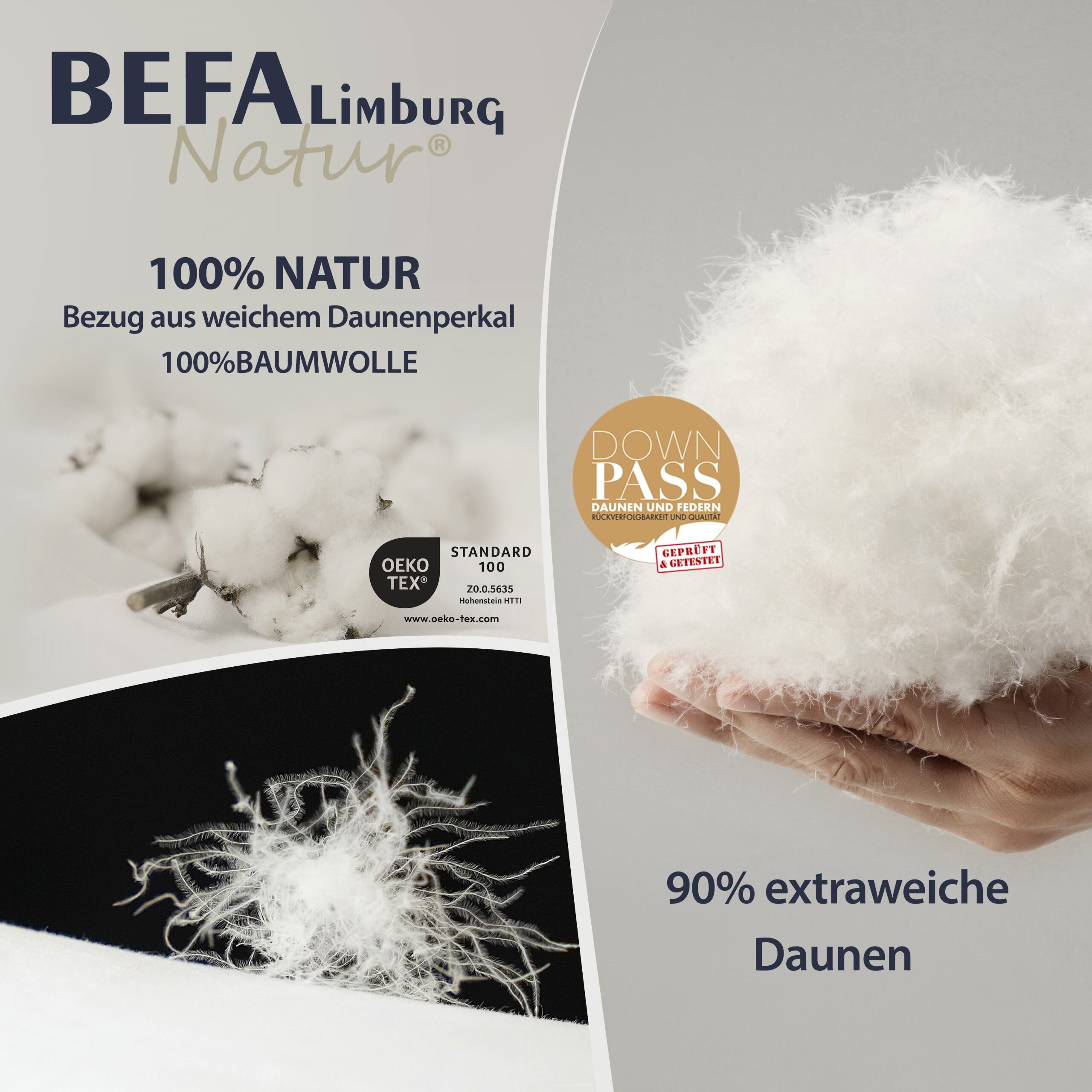 Daunenkissen - 90% Daunen - Etikett | BEFA Limburg