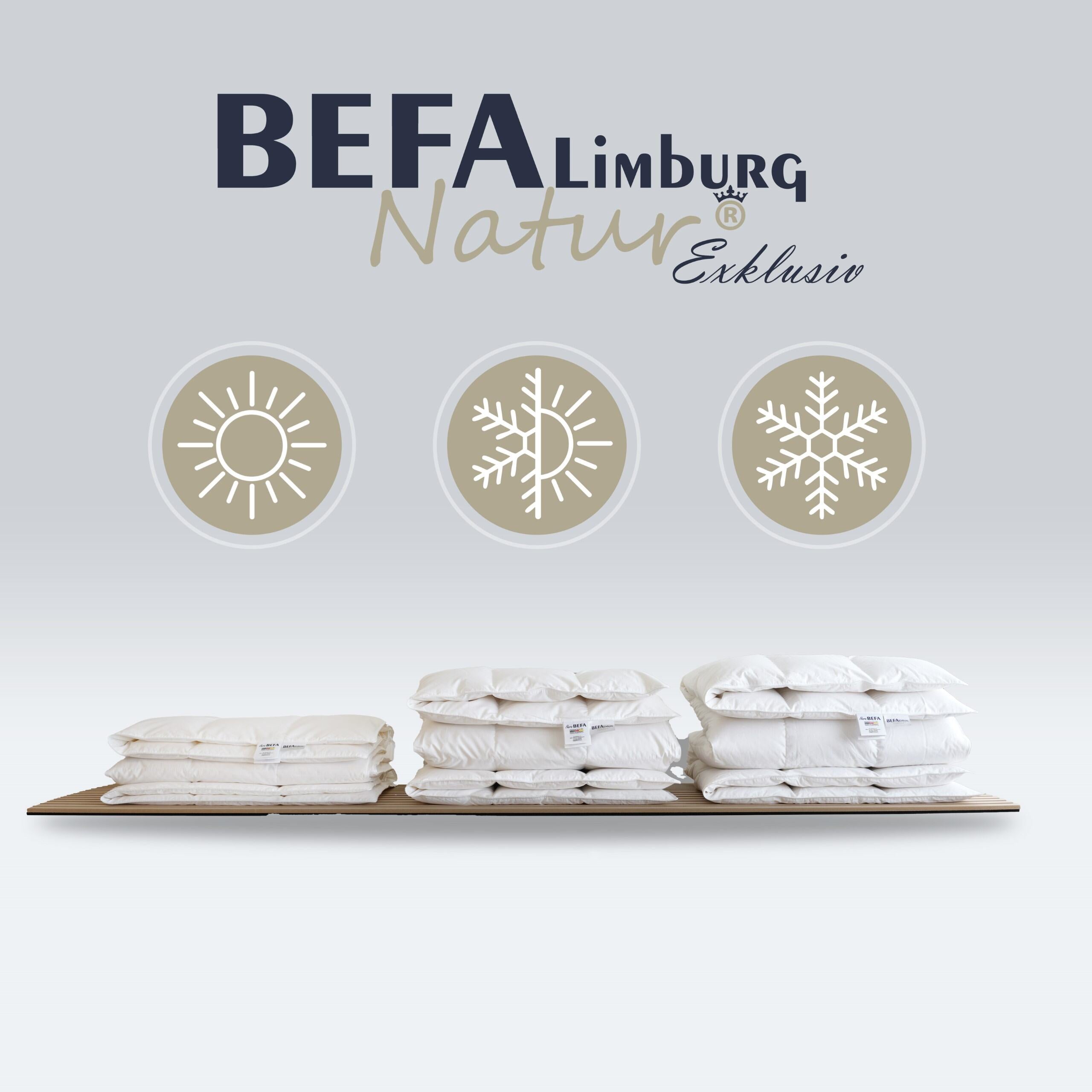 Tencel Daunendecke - 90% Daune, Sommerdecke - Füllung | BEFA Limburg