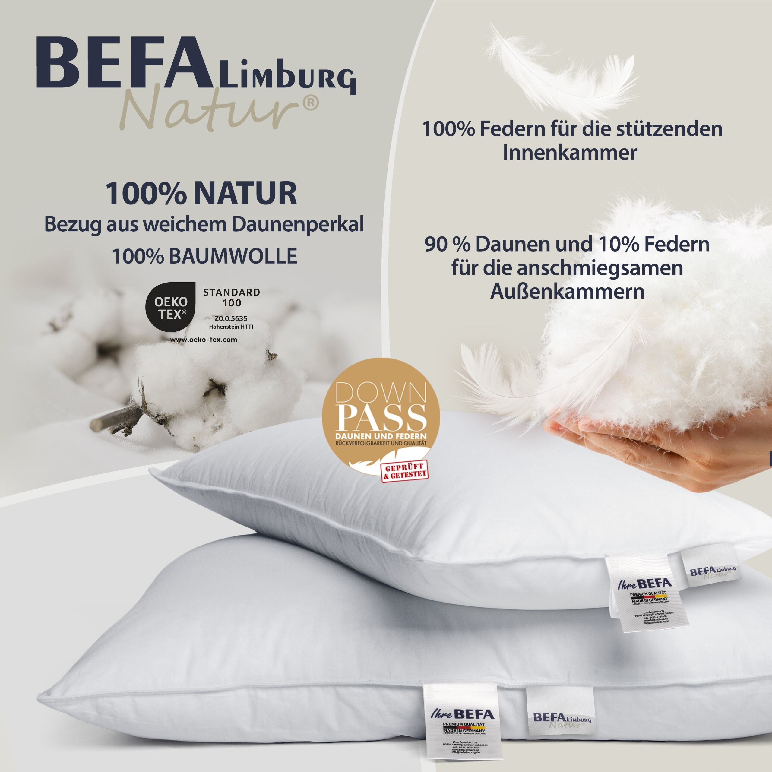 3-Kammer Daunen Kopfkissen (2 Stück Set) - Seitenansicht | BEFA Limburg