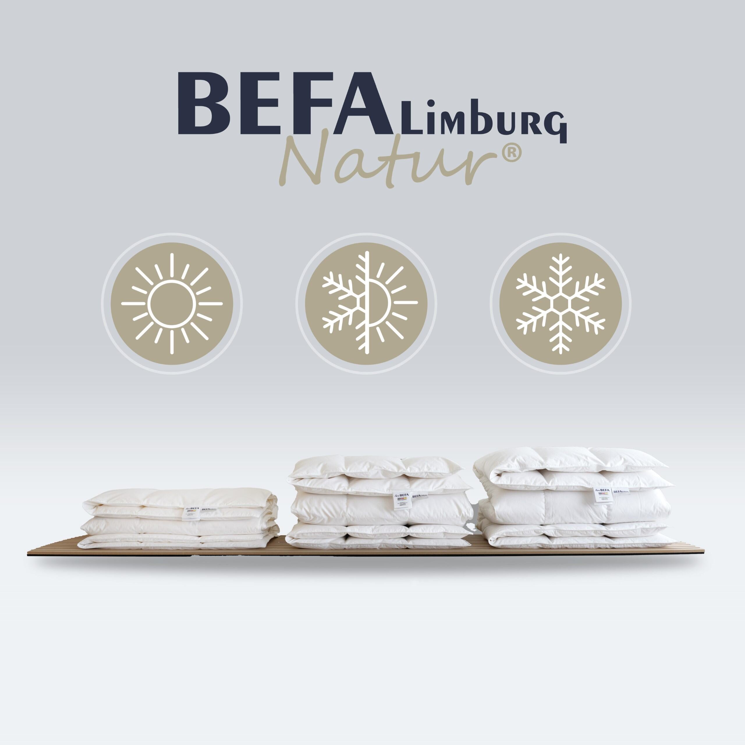 Daunendecke - 90% Daune, Sommerdecke (2 Stück Set) - Etikett | BEFA Limburg