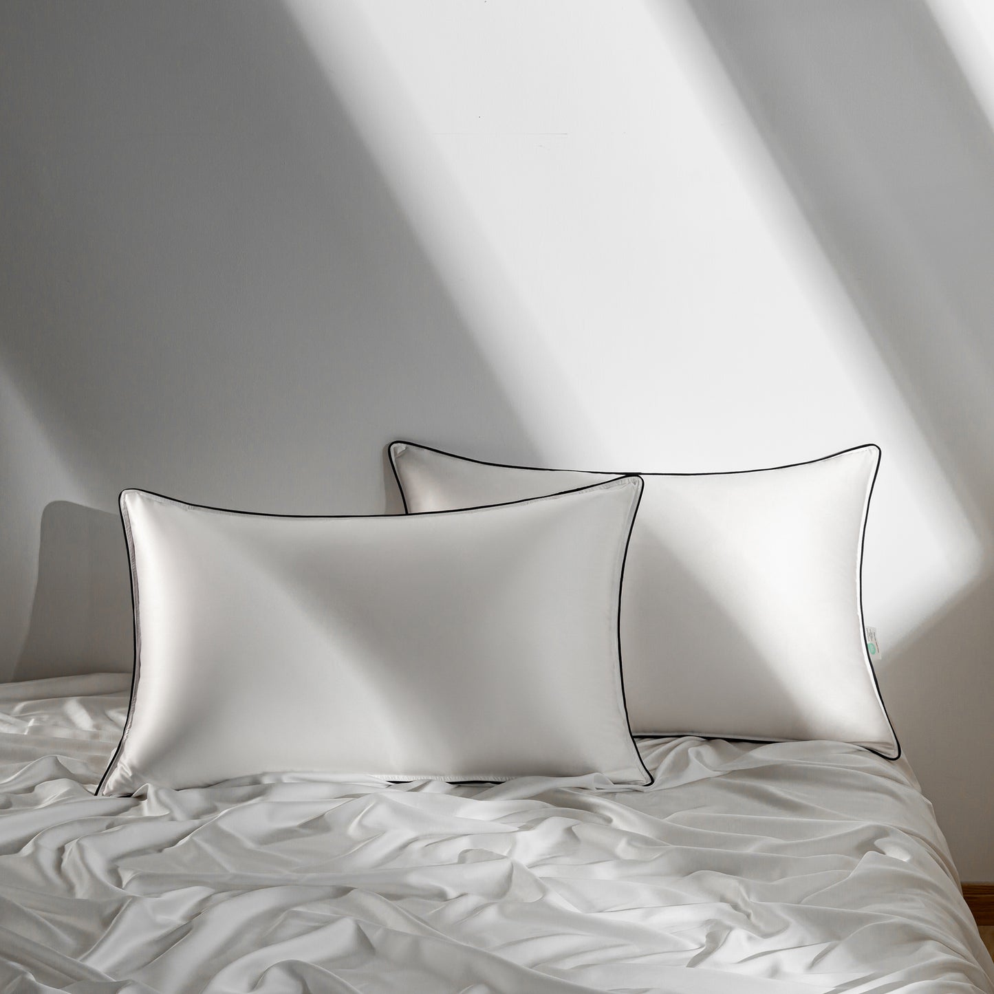 Cannstatt down pillows