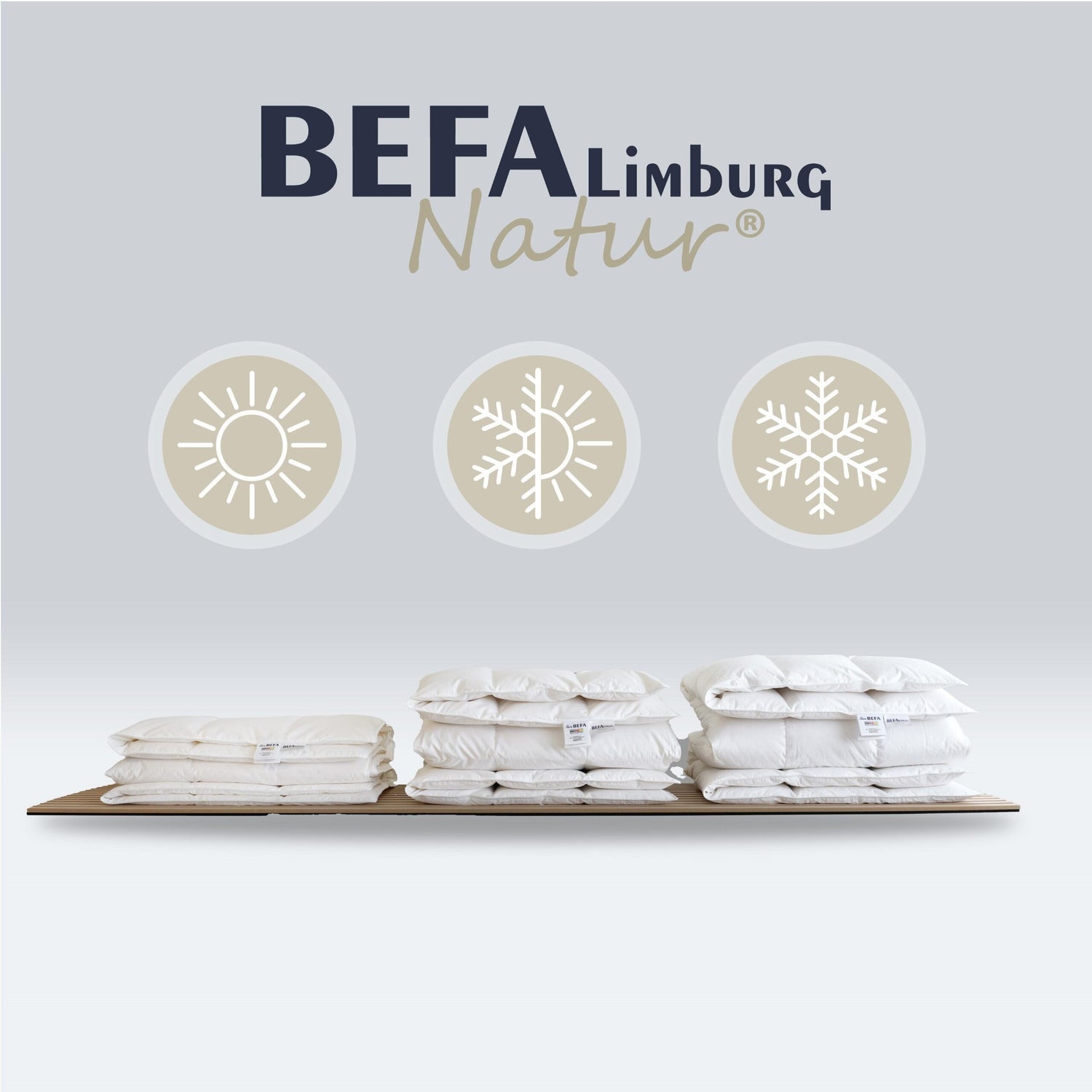 Reine Daunendecke - 100% Daune, Ganzjahr (2 Stück Set) - Seitenansicht | BEFA Limburg