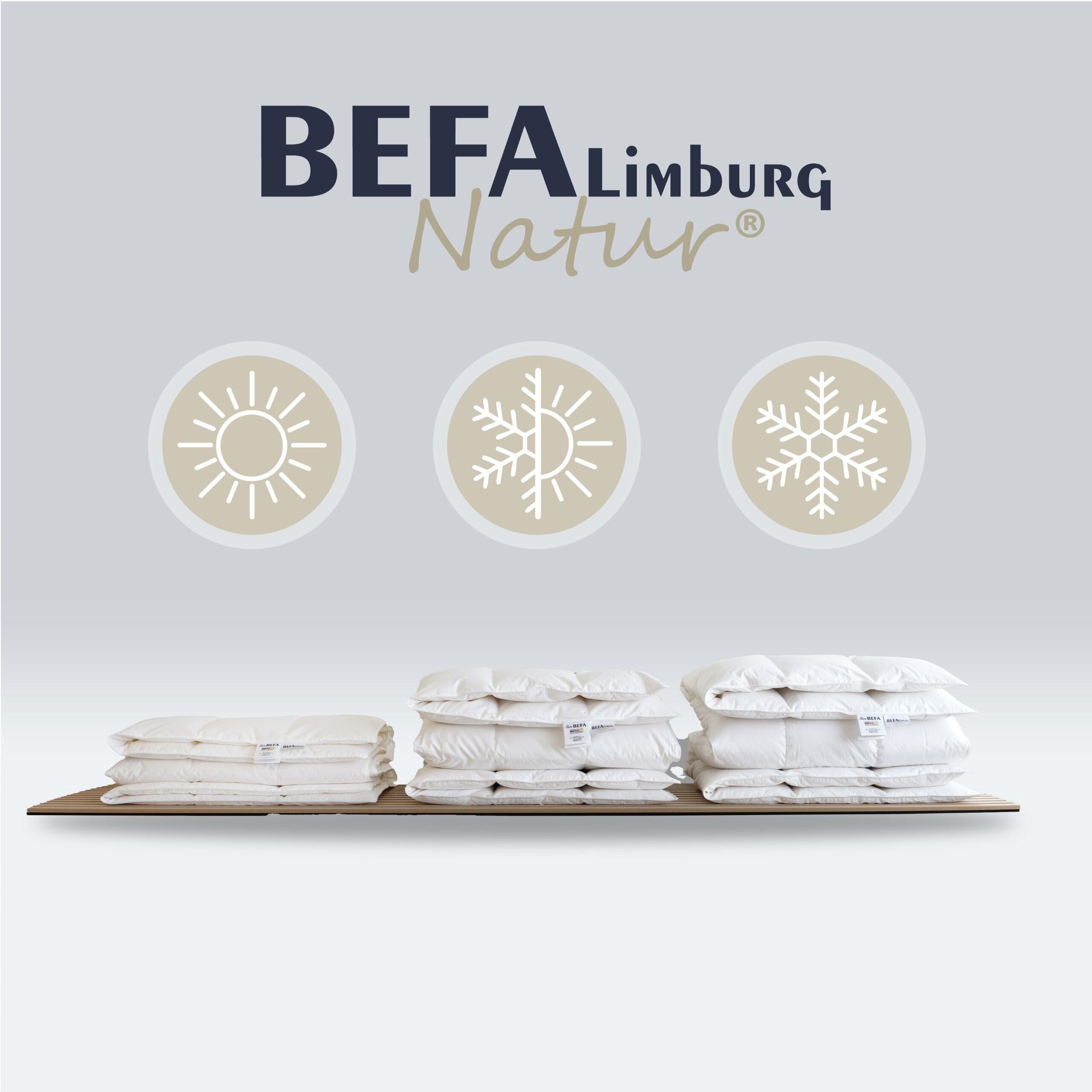 Reine Daunendecke - 100% Daune, Ganzjahr (2 Stück Set) - Seitenansicht | BEFA Limburg
