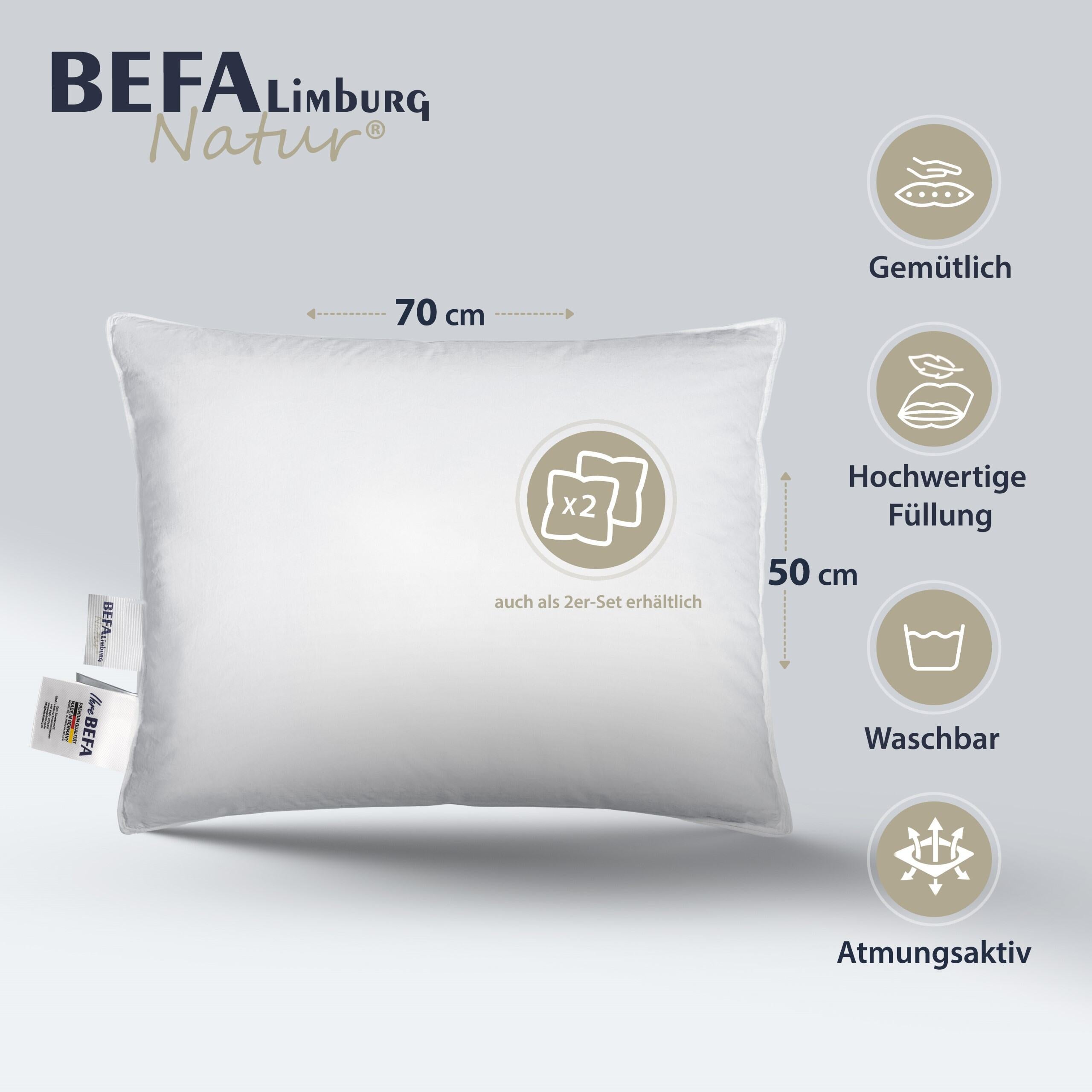 Federkissen - 100% Federn (2 Stück Set) - Gesamtansicht | BEFA Limburg