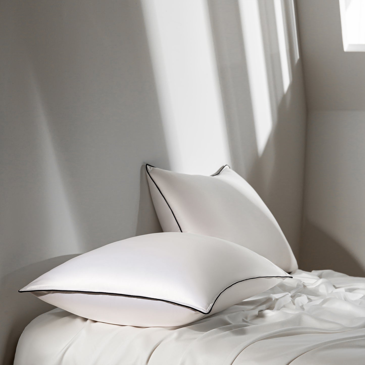 Cannstatt down pillows