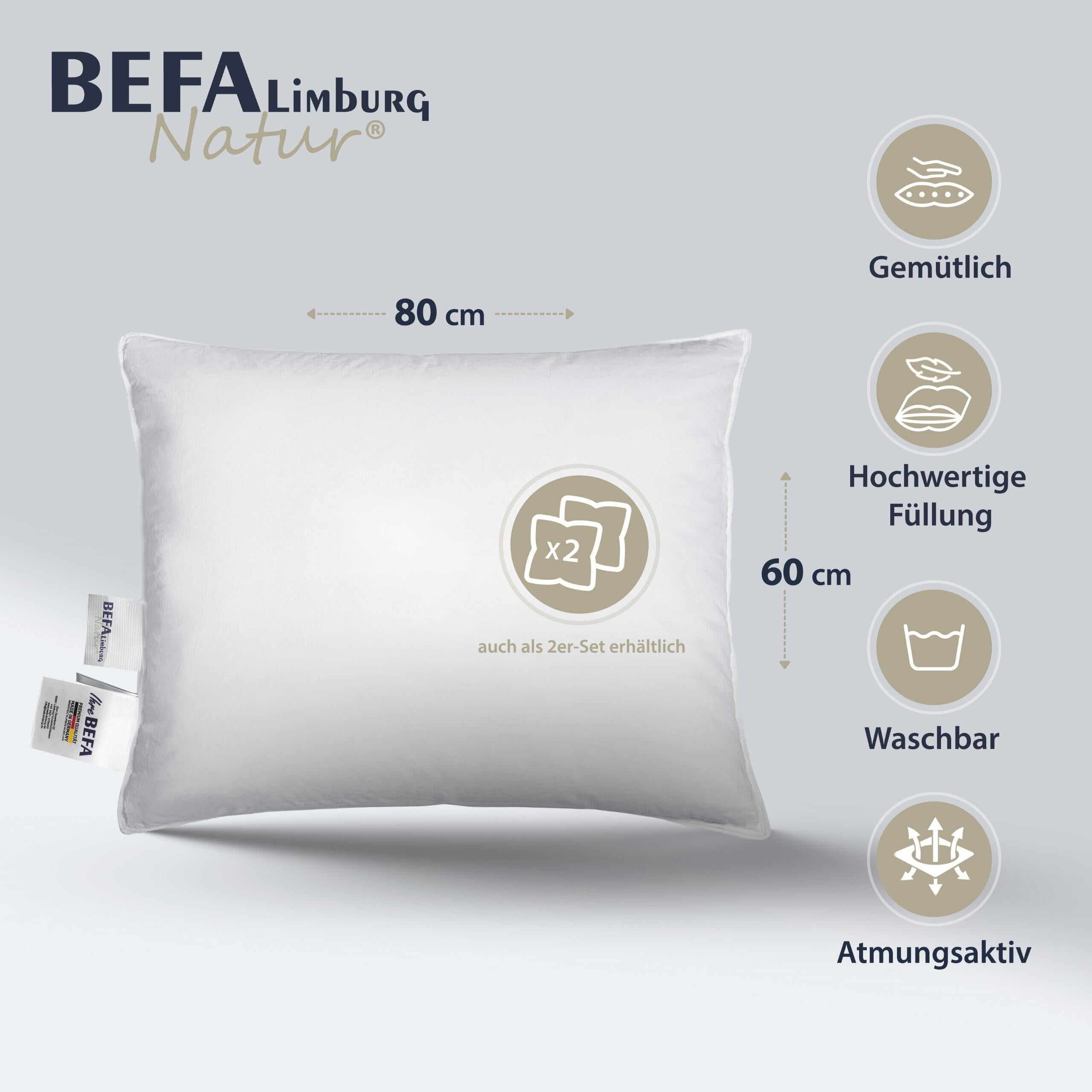 Federkissen - 100% Federn (2 Stück Set) | BEFA Limburg