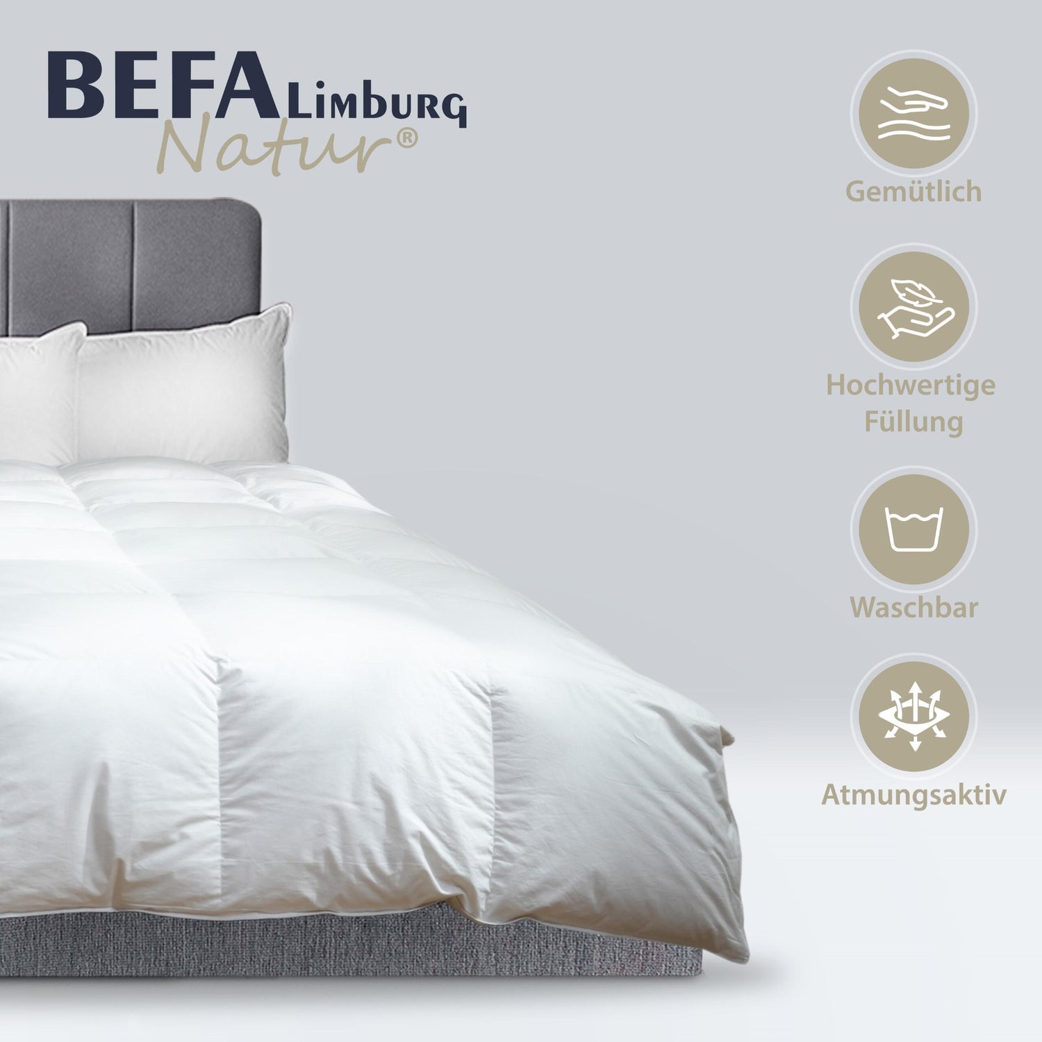 Gänsedaunendecke – 90% Gänsedaune - Winterdecke - Detailansicht | BEFA Limburg