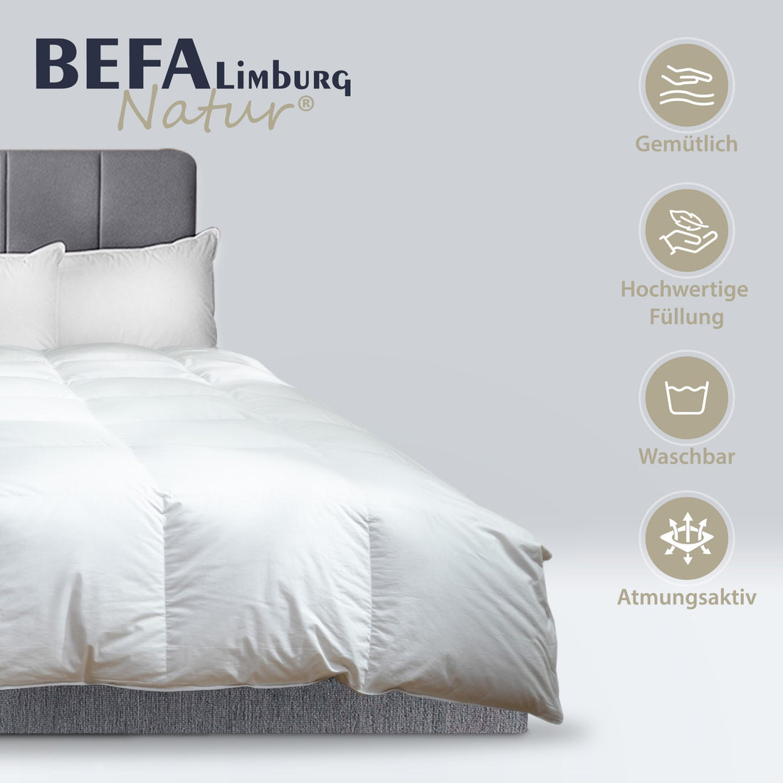 Gänsedaunendecke – 90% Gänsedaune - Ganzjahreszeiten - Detailansicht | BEFA Limburg