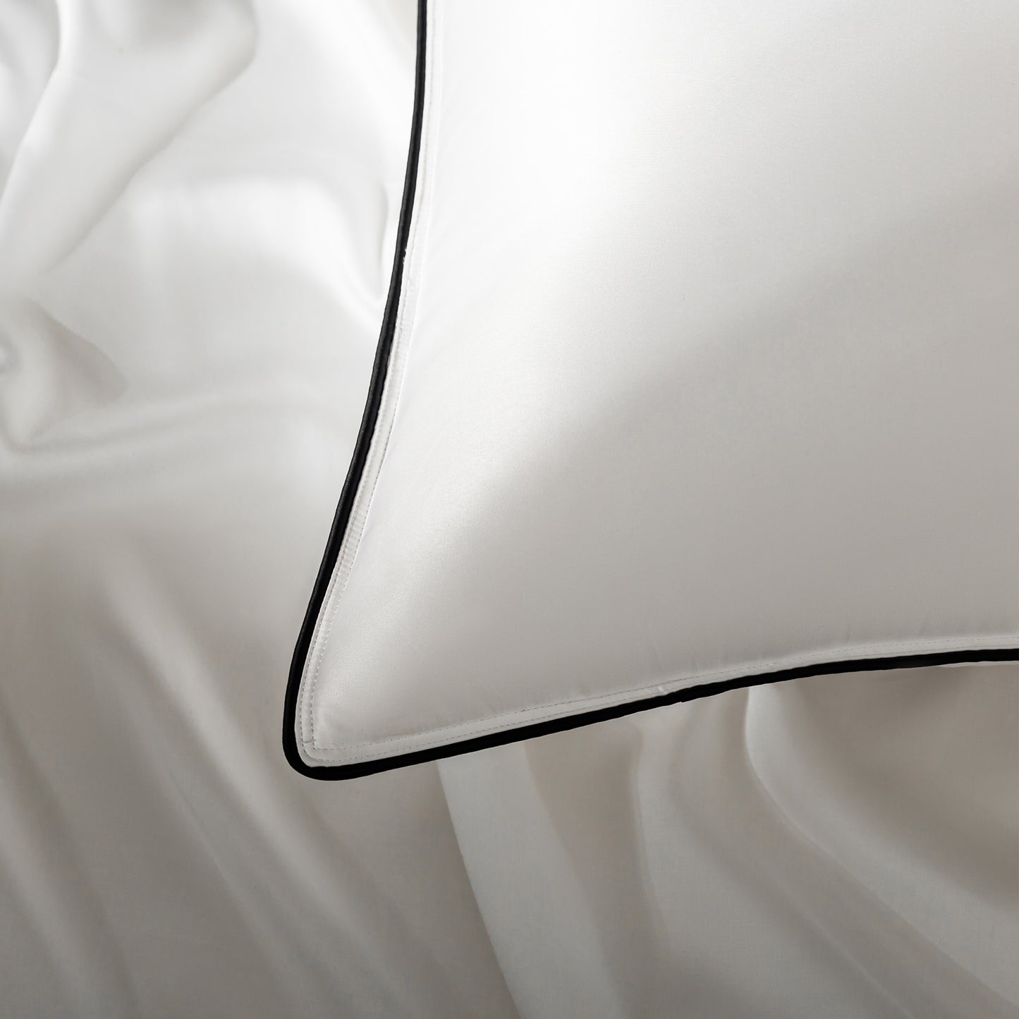 Cannstatt down pillows