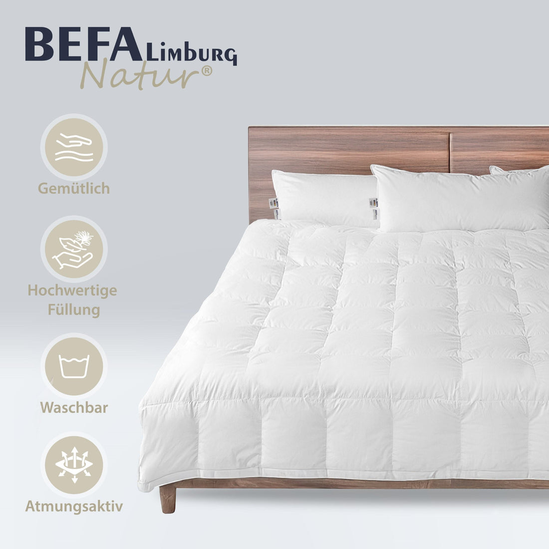 Daunendecke – 60% Daune, Sommerdecke - Detailansicht | BEFA Limburg