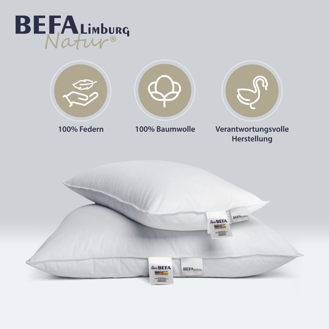 Federkissen - 100% Federn (2 Stück Set) - Detailansicht | BEFA Limburg