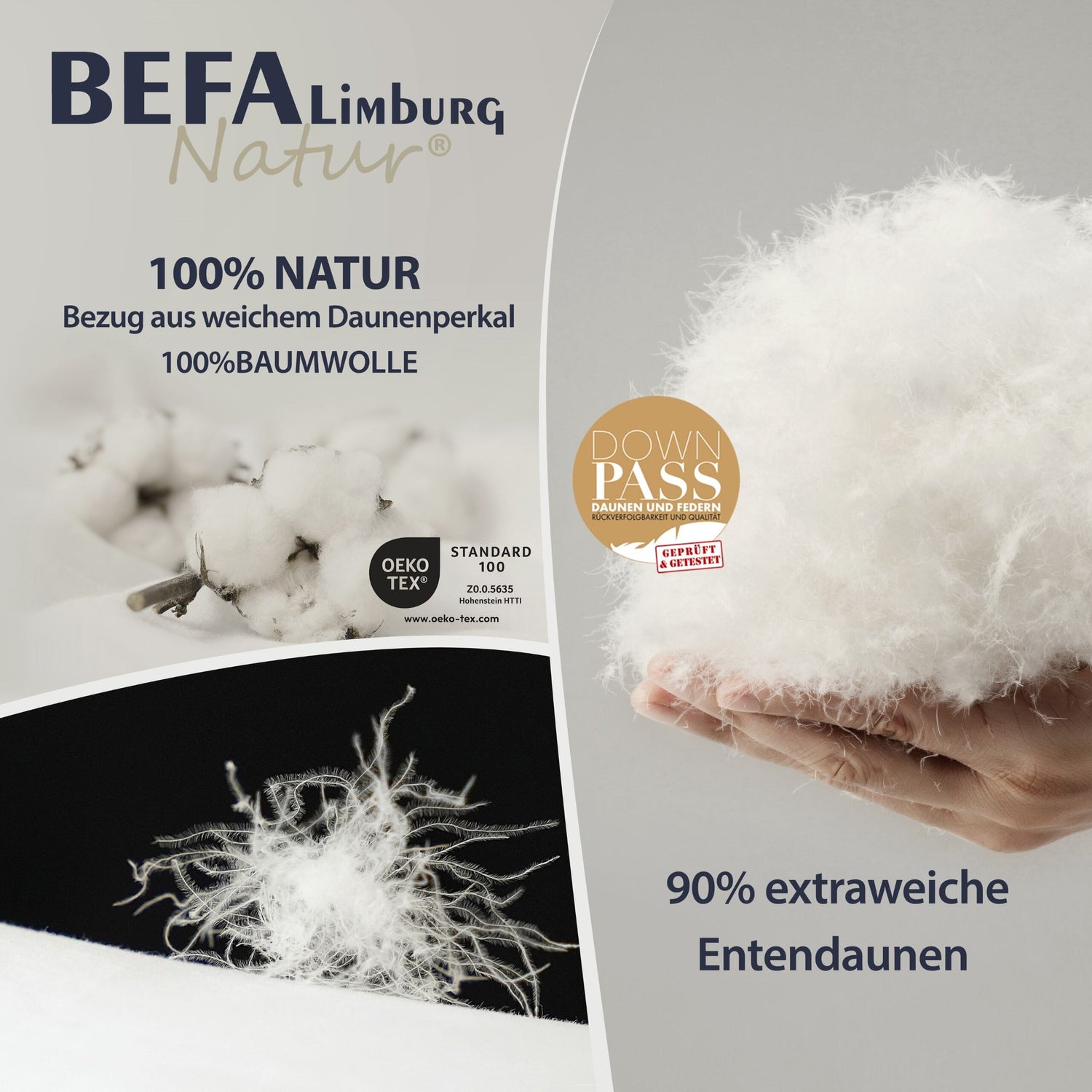 Daunendecke - 90% Daune, Sommerdecke (2 Stück Set) - Füllung | BEFA Limburg