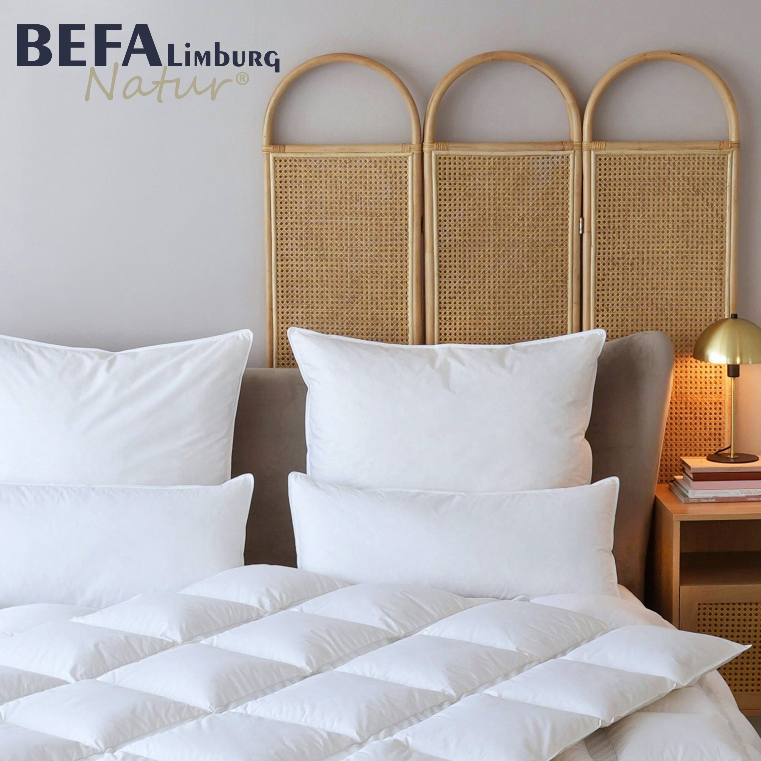 Pillow 80x80 | Down, feathers, 3-chamber | BEFA – BEFA Limburg