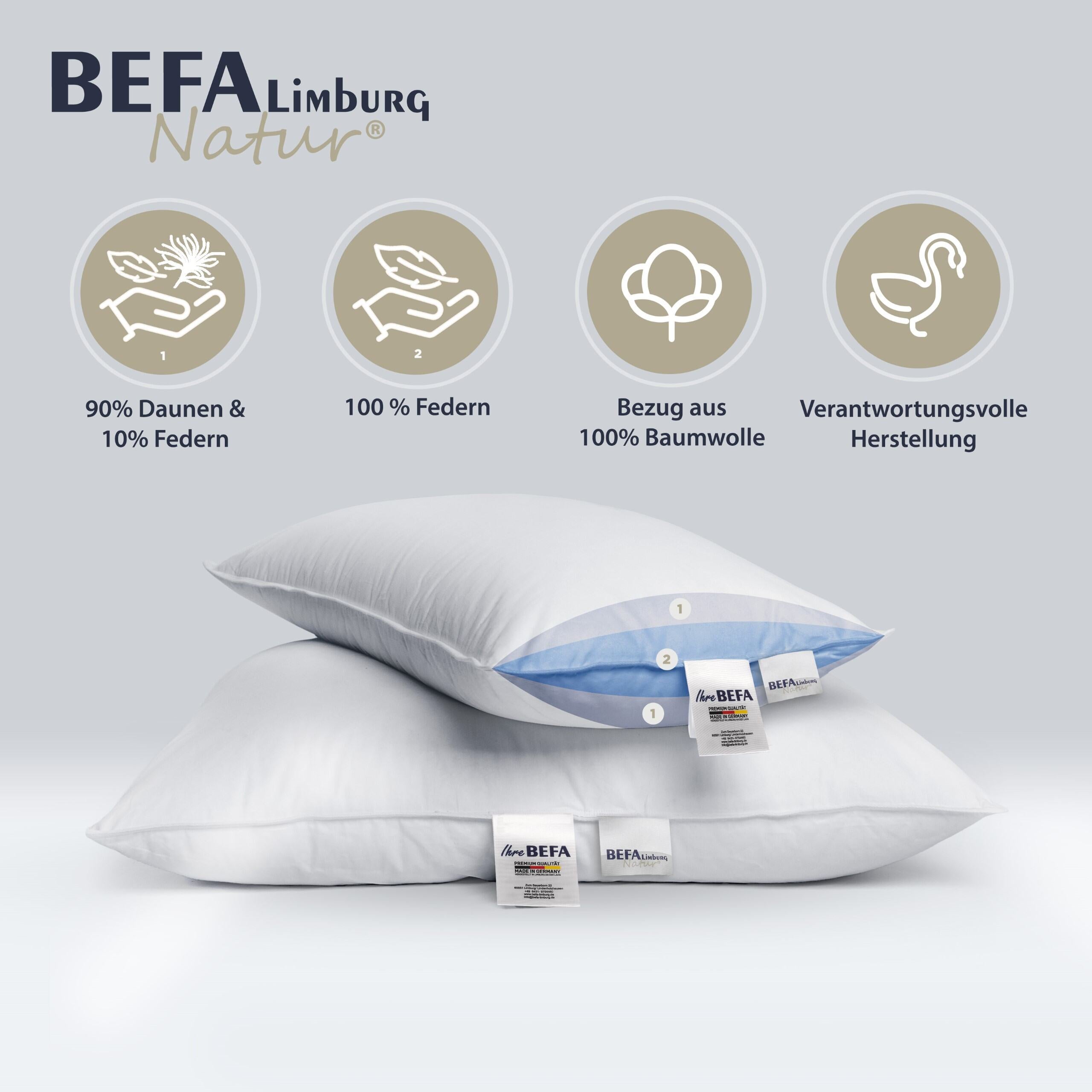 Pillow 80x80 | Down, feathers, 3-chamber | BEFA – BEFA Limburg