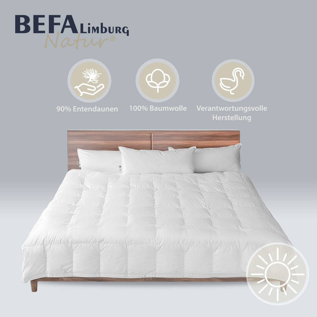 Daunendecke - 90% Daune, Sommerdecke (2 Stück Set) | BEFA Limburg