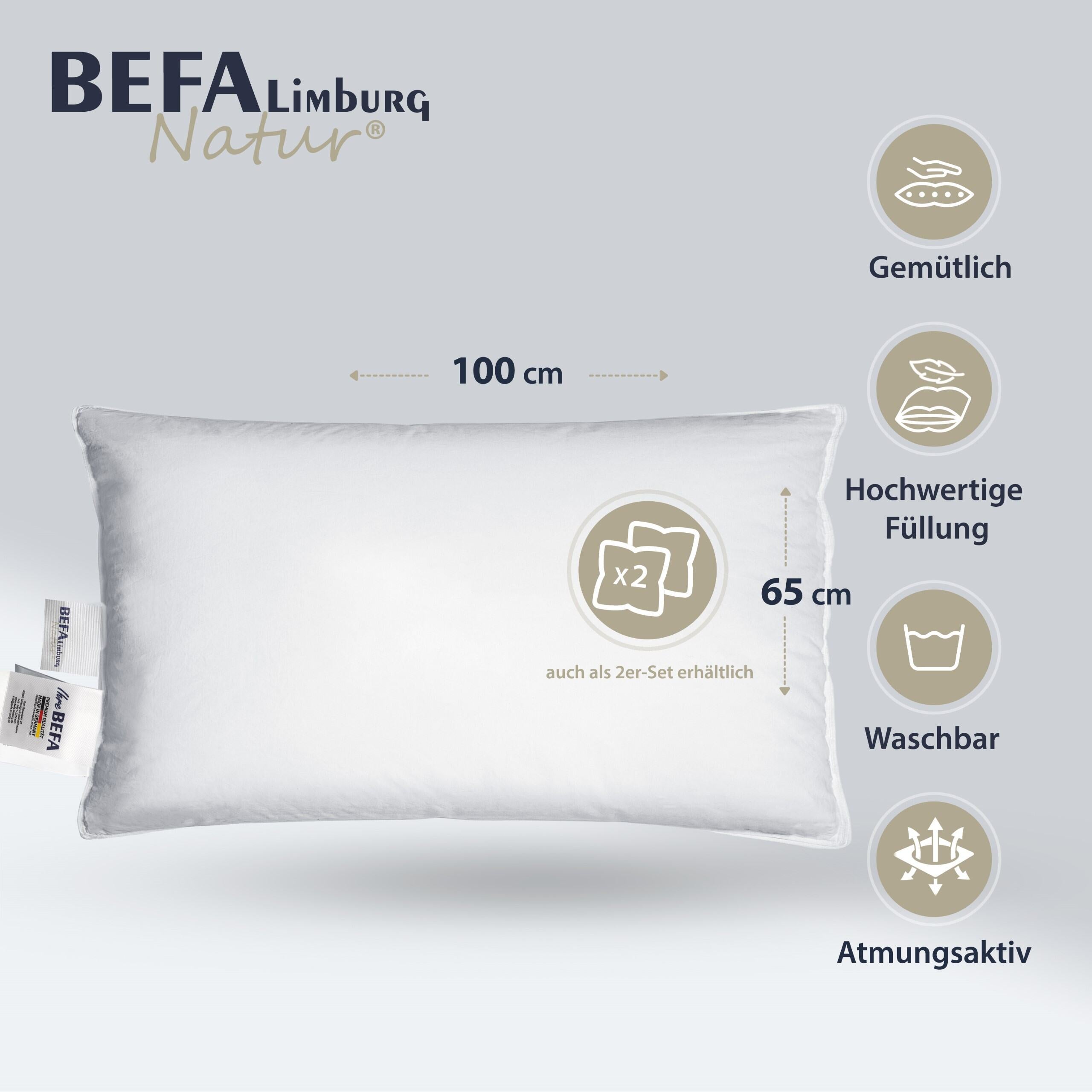 Federkissen - 100% Federn (2 Stück Set) - Nahaufnahme | BEFA Limburg
