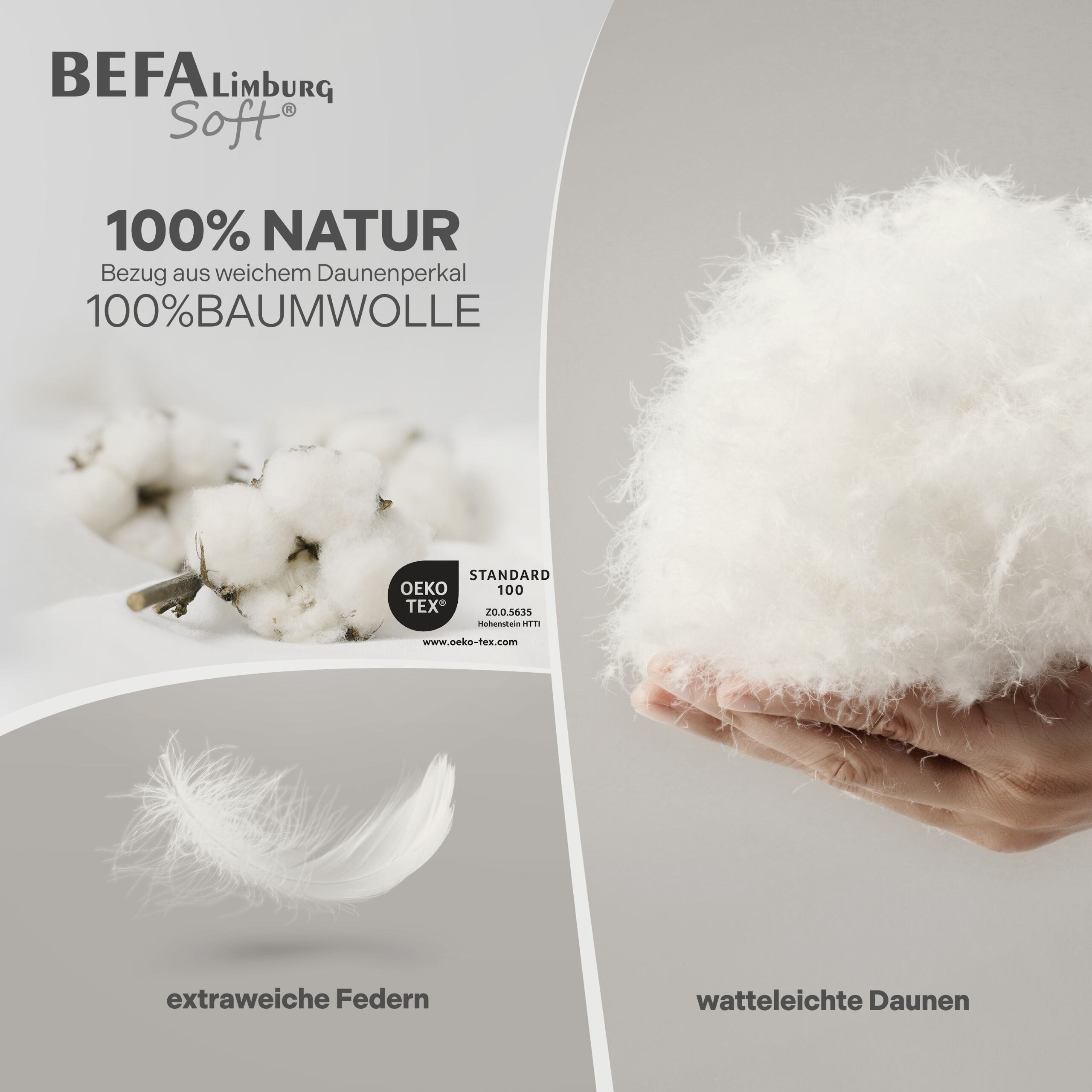 Federdecke - 90% Federn, Winterdecke