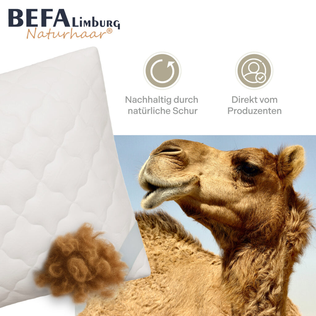 Kamelhaar Kopfkissen - 100% Kamelhaarfüllung - Detailansicht | BEFA Limburg