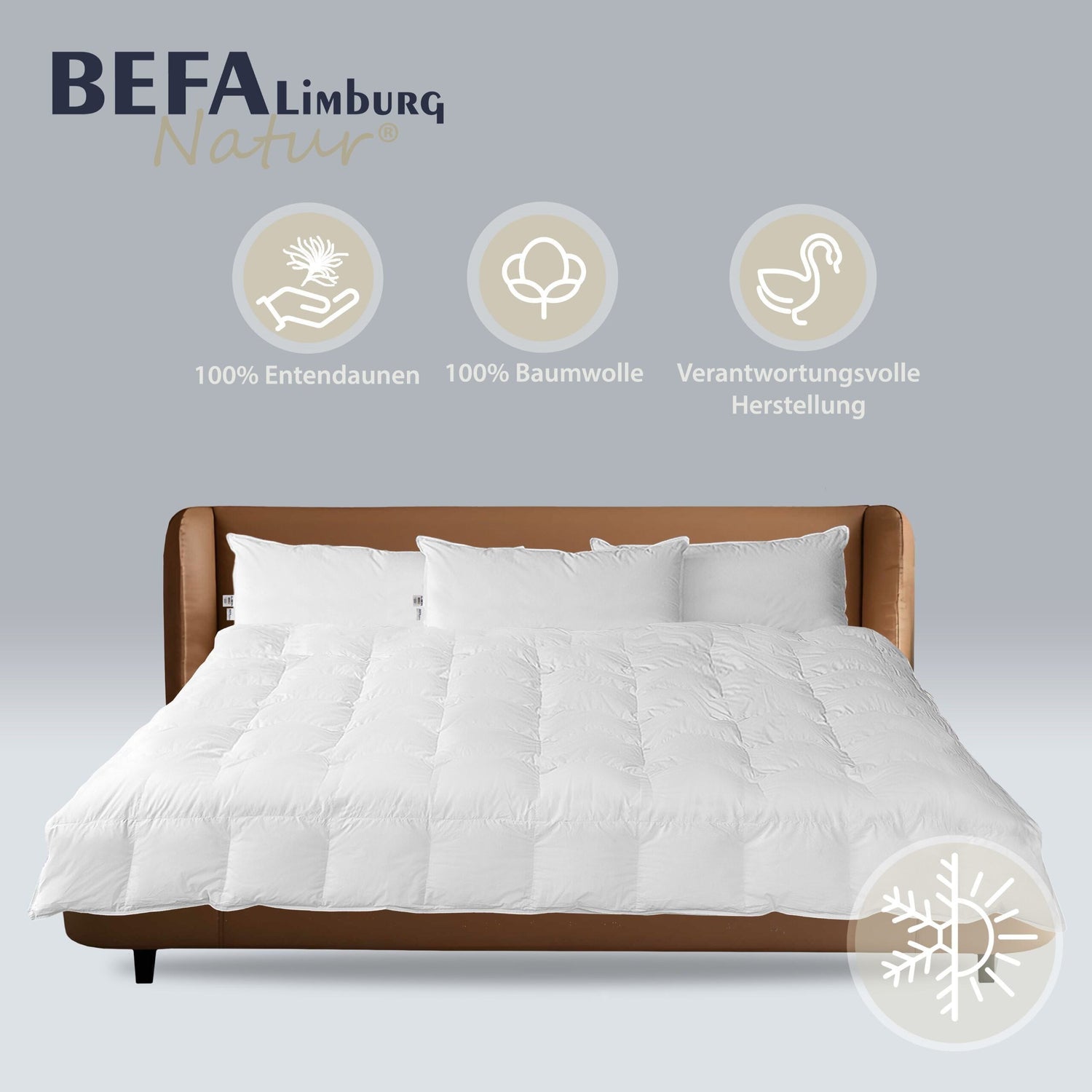 Reine Daunendecke - 100% Daune, Ganzjahr (2 Stück Set) | BEFA Limburg