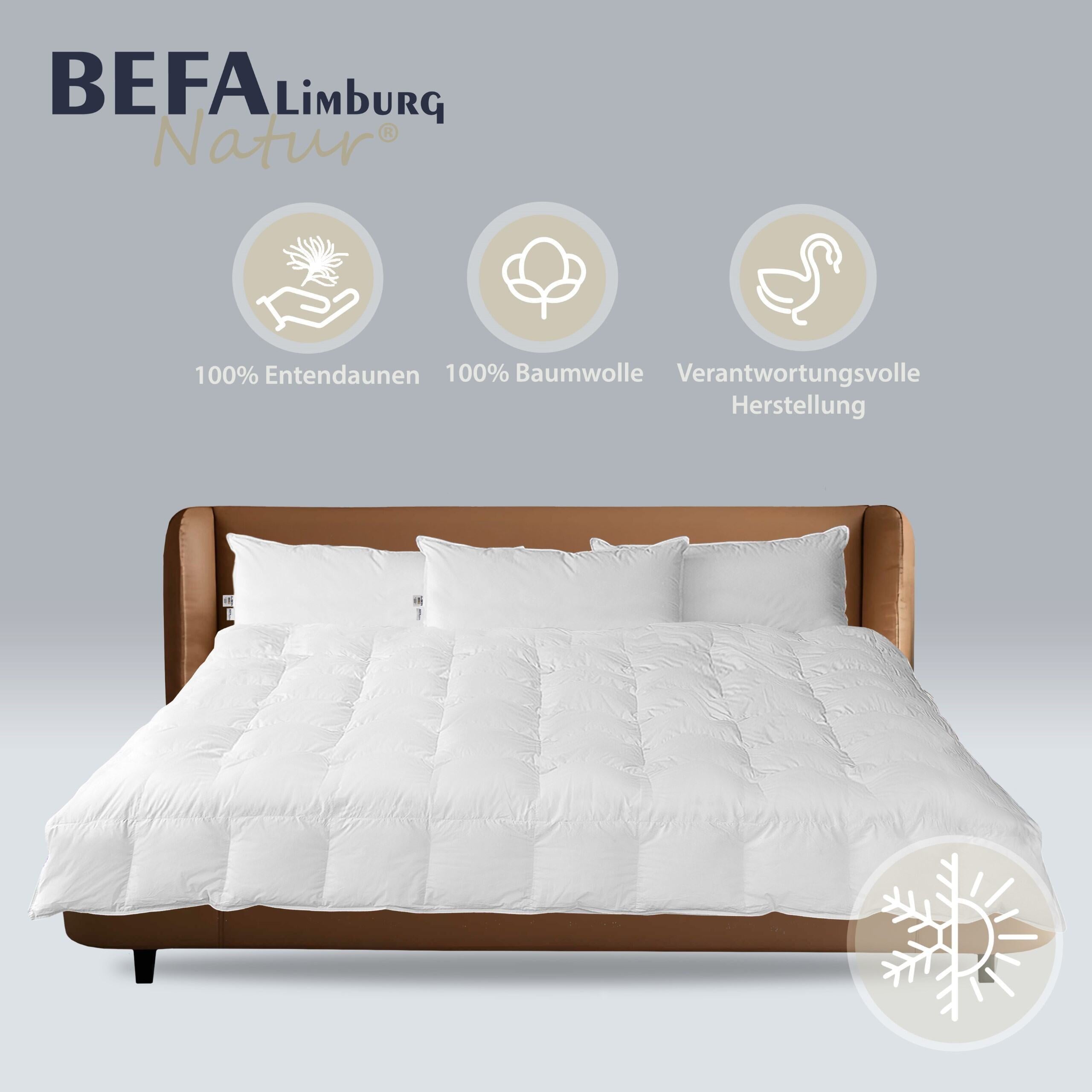 Reine Daunendecke - 100% Daune, Ganzjahr (2 Stück Set) | BEFA Limburg