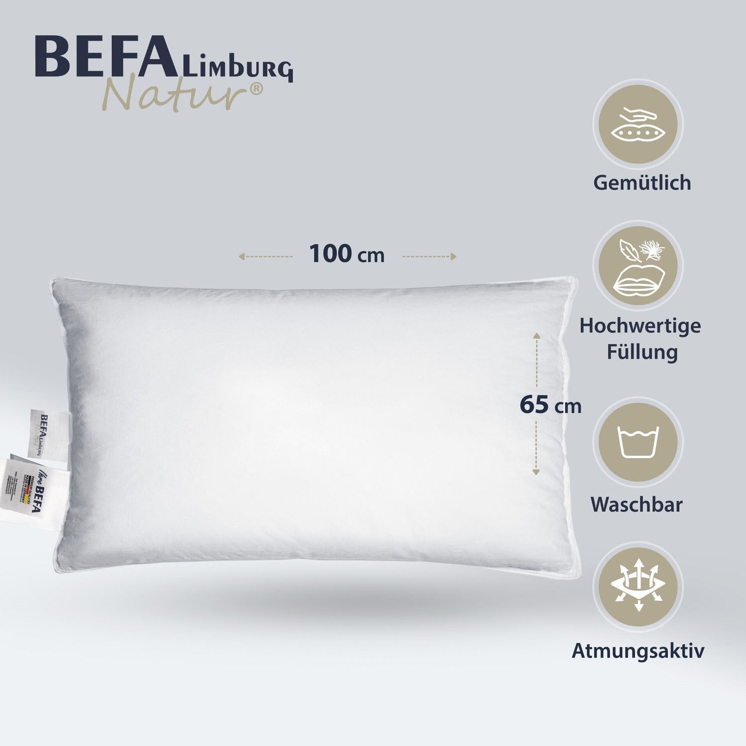 Daunenkissen -  90% Daunen - Gesamtansicht | BEFA Limburg