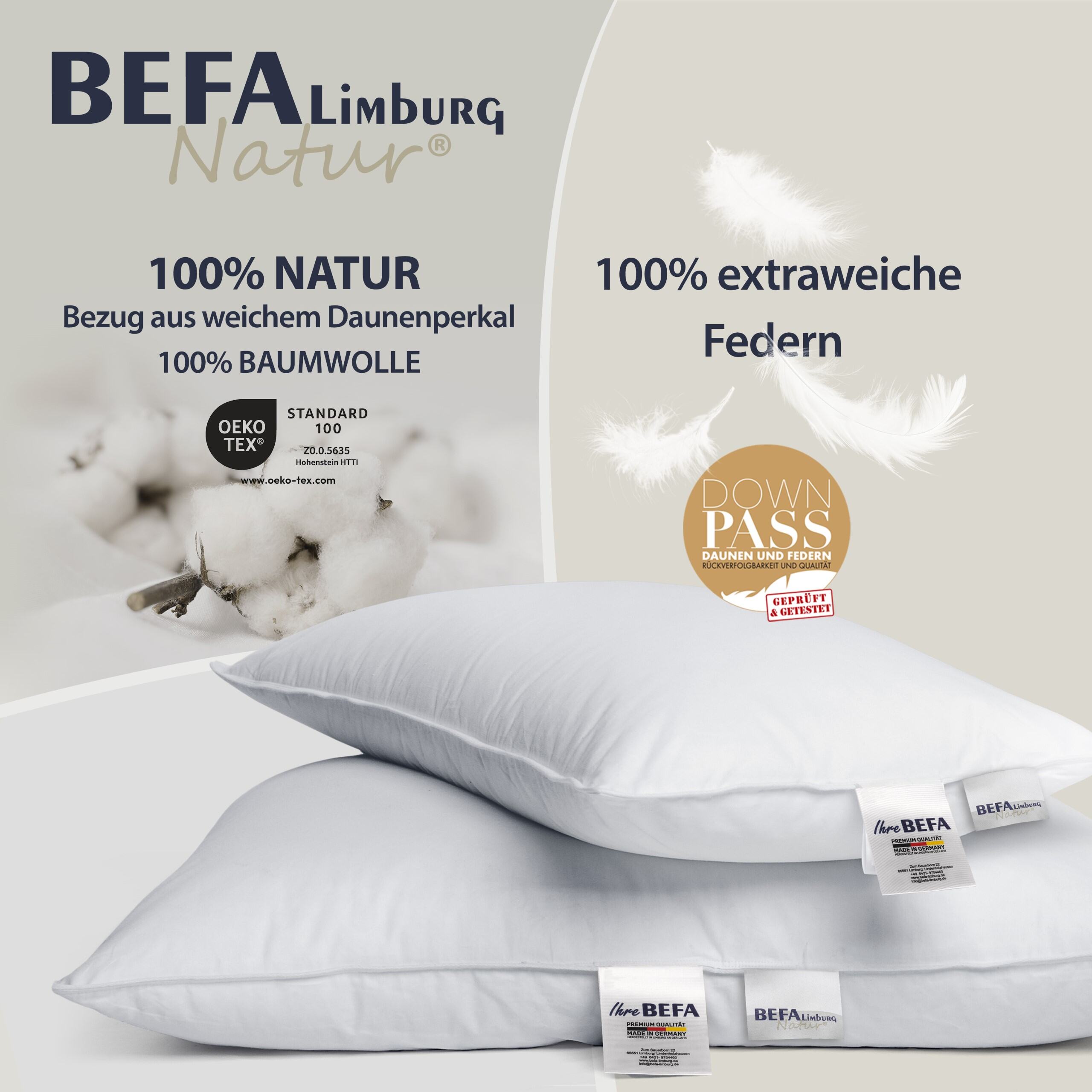 Federkissen - 100% Federn - Füllung | BEFA Limburg