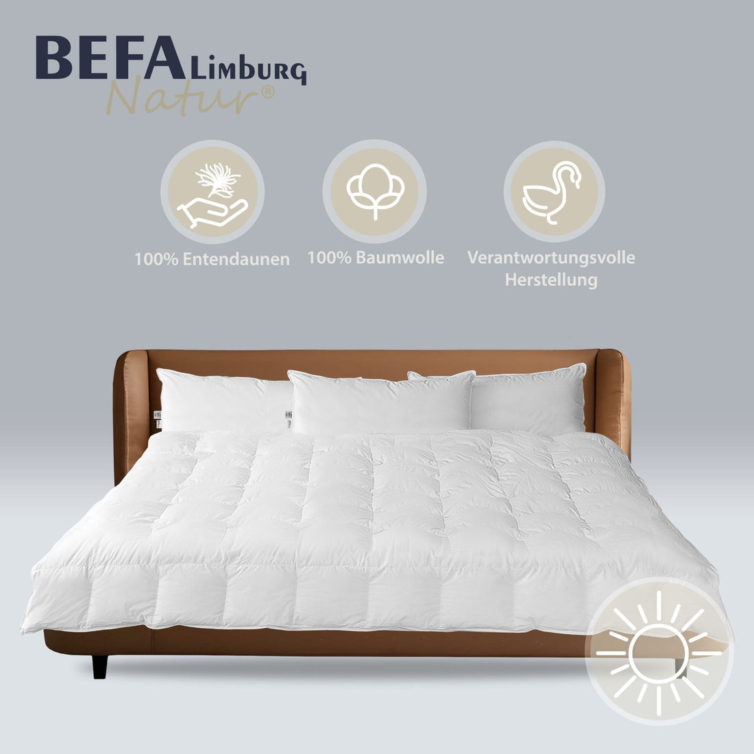 Reine Daunendecke - 100% Daune, Sommer (2 Stück Set) | BEFA Limburg