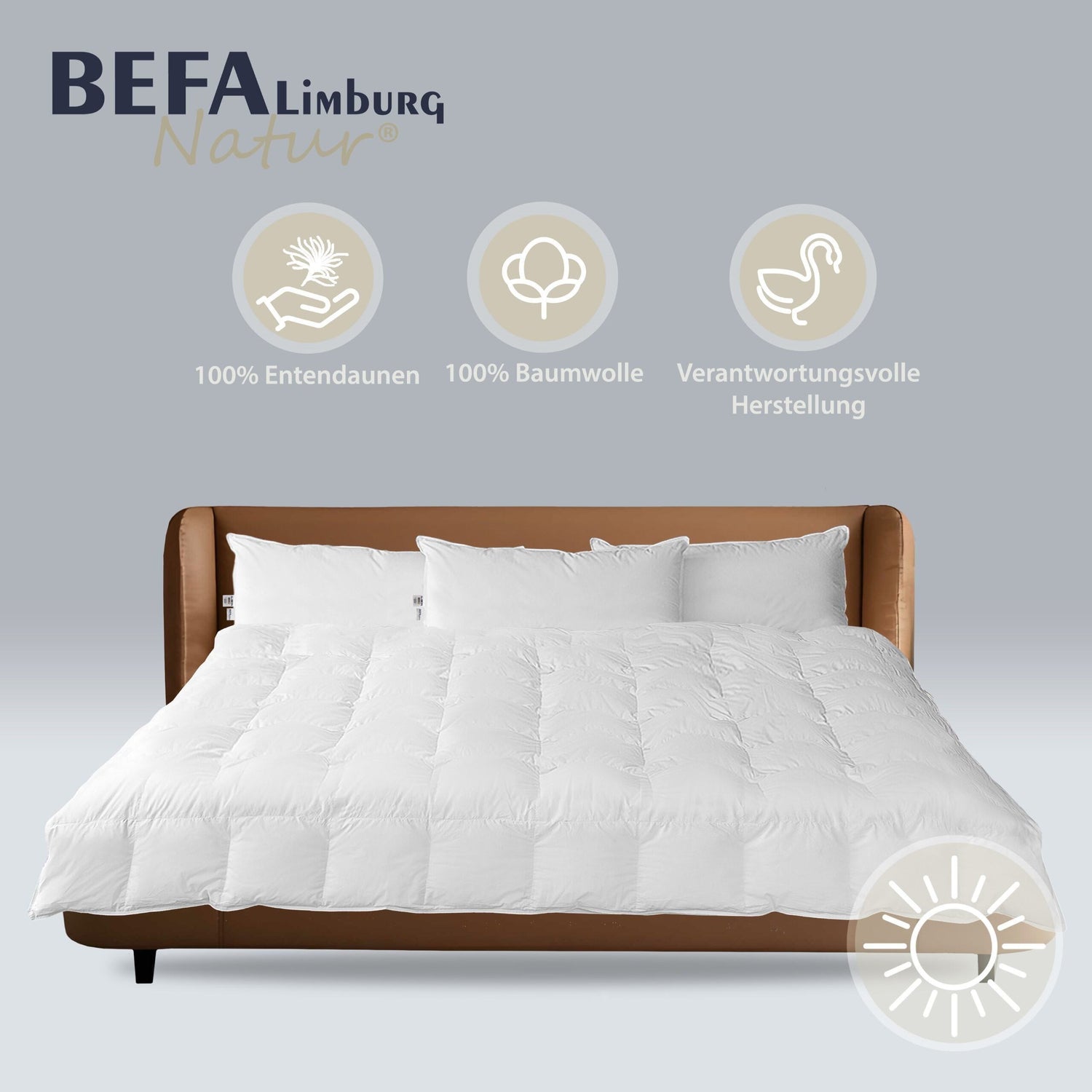 Reine Daunendecke - 100% Daune, Sommer (2 Stück Set) | BEFA Limburg