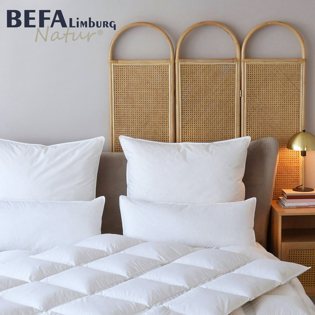 Kopfkissen 15% Daunen (2 Stück Set) | BEFA Limburg