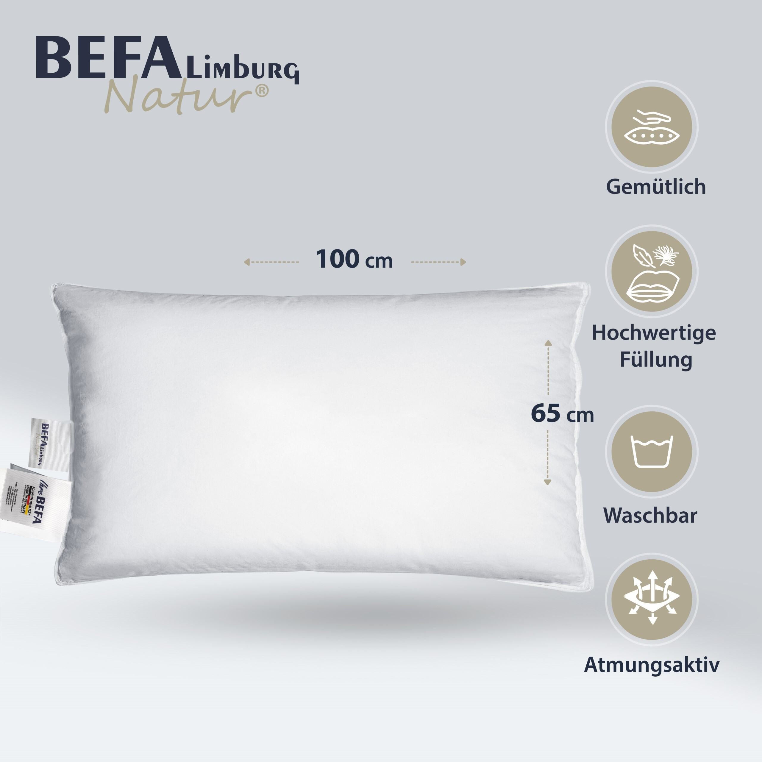 Kopfkissen 15% Daunen (2 Stück Set) - Nahaufnahme | BEFA Limburg
